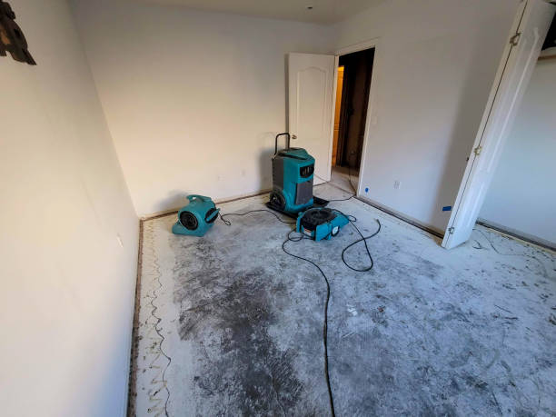 Best Water damage restoration mold remediation  in Center, TX