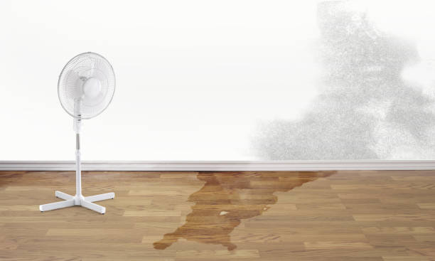 Best Water damage cleanup near me  in Center, TX