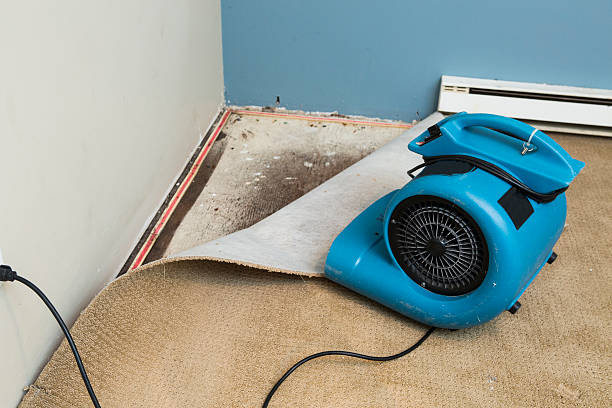 Water damage restoration mold remediation in Center, TX